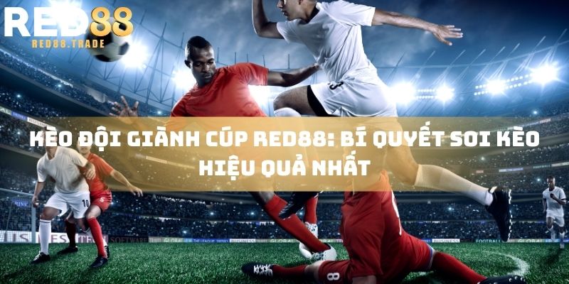 Kèo đội giành cúp