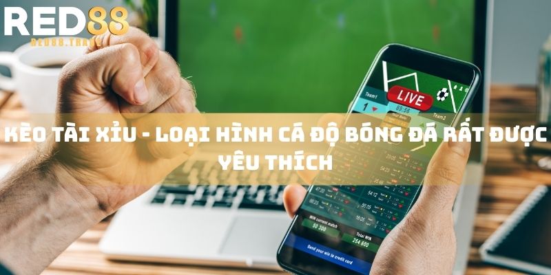 kèo tài xỉu